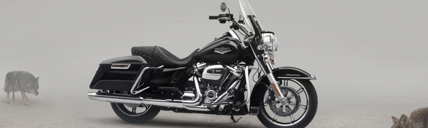 2021 Harley-Davidson® for sale in Mountain Creek Harley-Davidson®, Dalton, Georgia